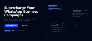 BulkFlow - WhatsApp marketing automation platform interface